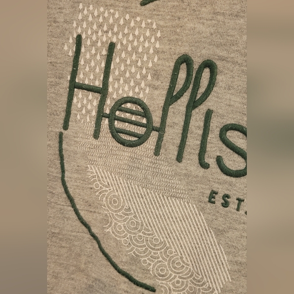 EUC | Hollister Gray Terrycloth California Hoodie - Picture 3 of 8